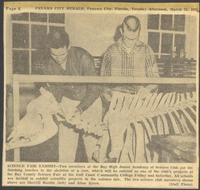 Science Fair Exhibit