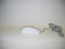 gcsc_5616-Thumbnail Image.jpg