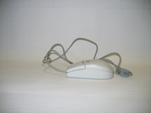 gcsc_5636-Thumbnail Image.jpg