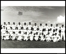gcsc_8095-Thumbnail Image.jpg